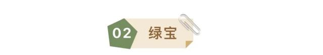 5万元大奖花落谁家,快来PICK你最满意的三明城市吉祥物吧!
