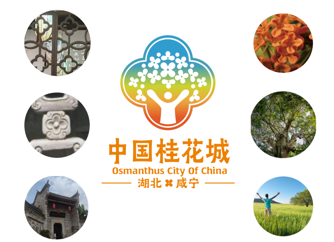 正在上传...